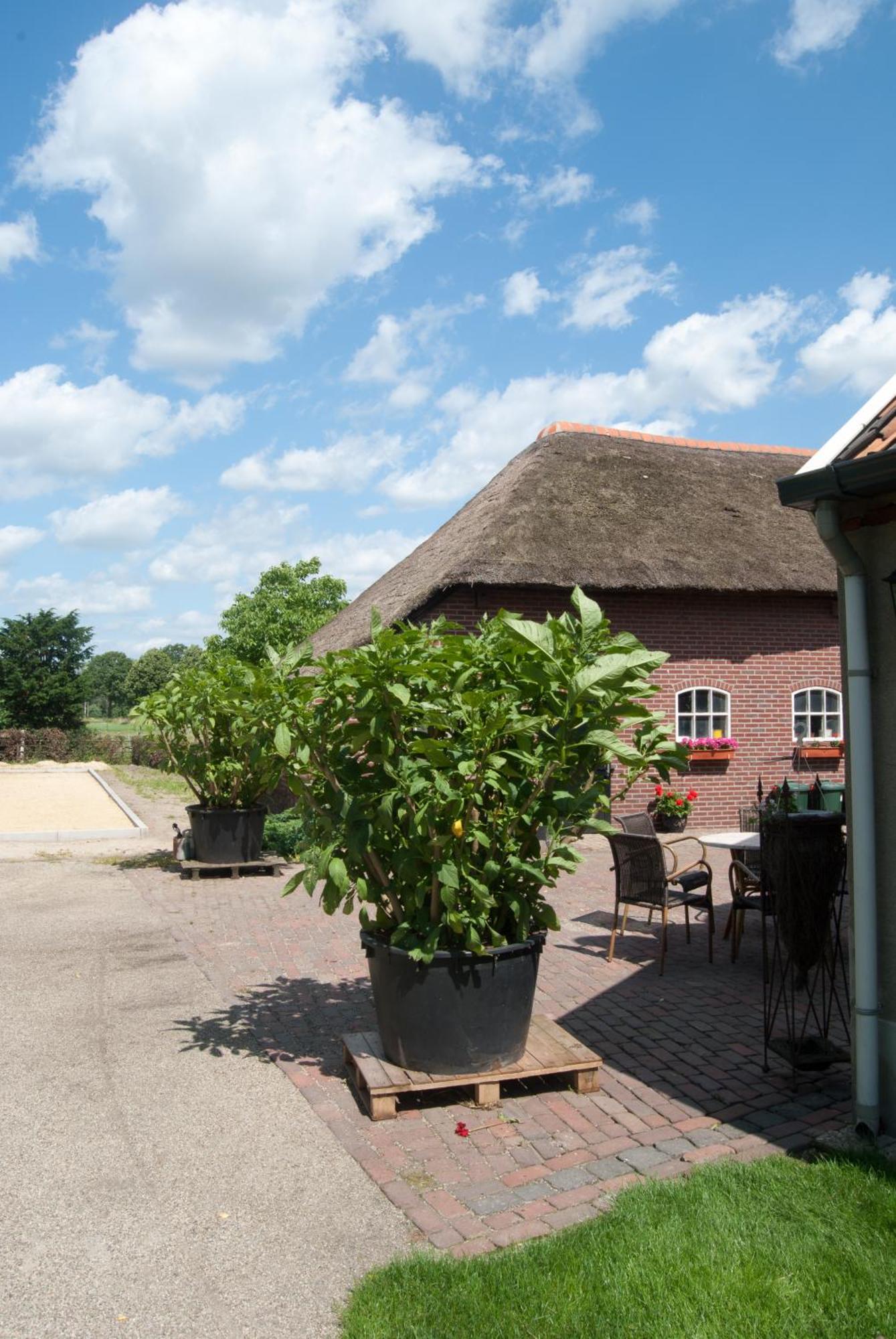 De Martiene Plats - Bed & Breakfast Merselo エクステリア 写真